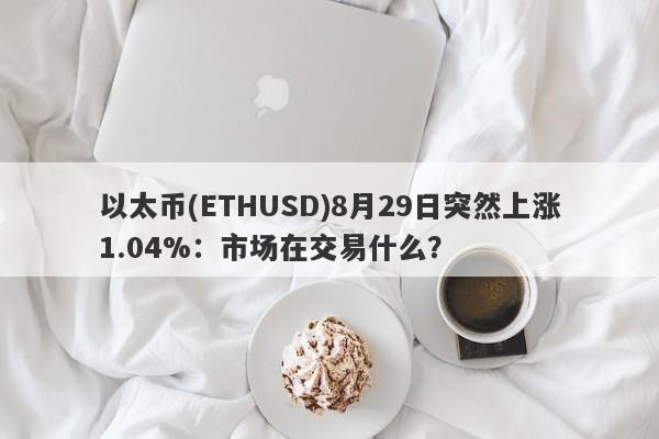 以太币(ETHUSD)8月29日突然上涨1.04%：市场在交易什么？