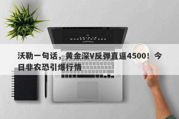 沃勒一句话，黄金深V反弹直逼4500！今日非农恐引爆行情
