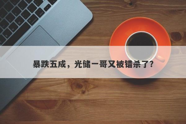暴跌五成，光储一哥又被错杀了？