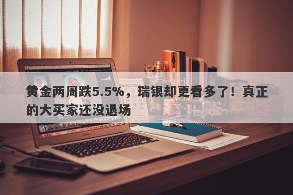 黄金两周跌5.5%，瑞银却更看多了！真正的大买家还没退场