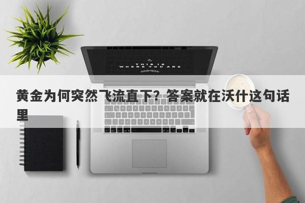 黄金为何突然飞流直下？答案就在沃什这句话里