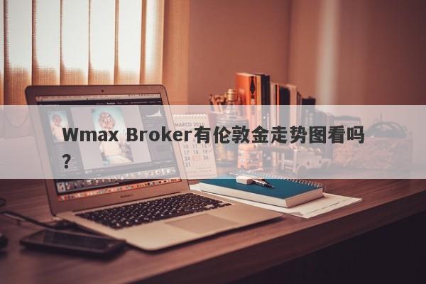 Wmax Broker有伦敦金走势图看吗？