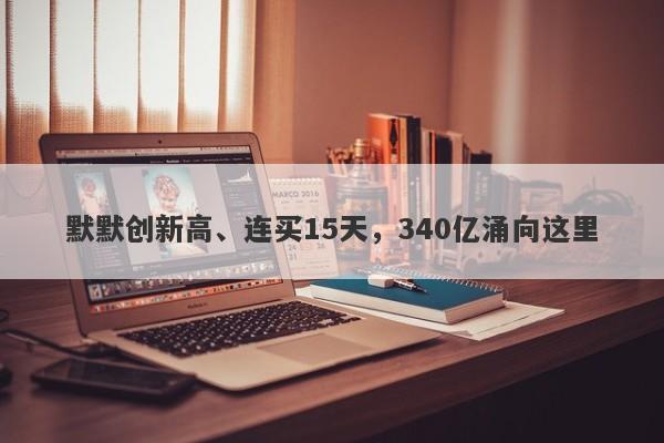 默默创新高、连买15天，340亿涌向这里