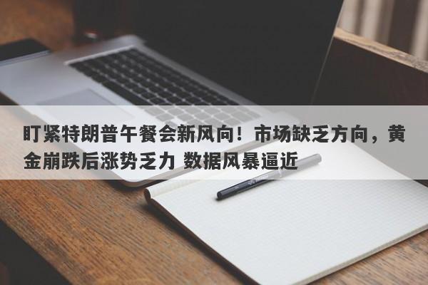 盯紧特朗普午餐会新风向！市场缺乏方向，黄金崩跌后涨势乏力 数据风暴逼近