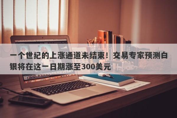 一个世纪的上涨通道未结束！交易专家预测白银将在这一日期涨至300美元
