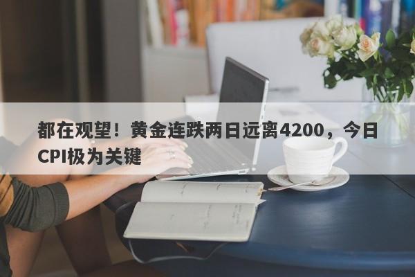 都在观望！黄金连跌两日远离4200，今日CPI极为关键