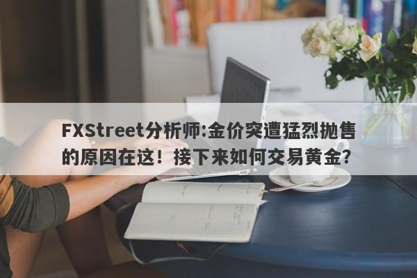 FXStreet分析师:金价突遭猛烈抛售的原因在这！接下来如何交易黄金？
